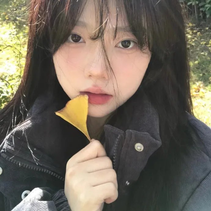 主妇侦探社